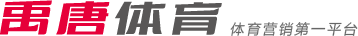 顶级赛事中