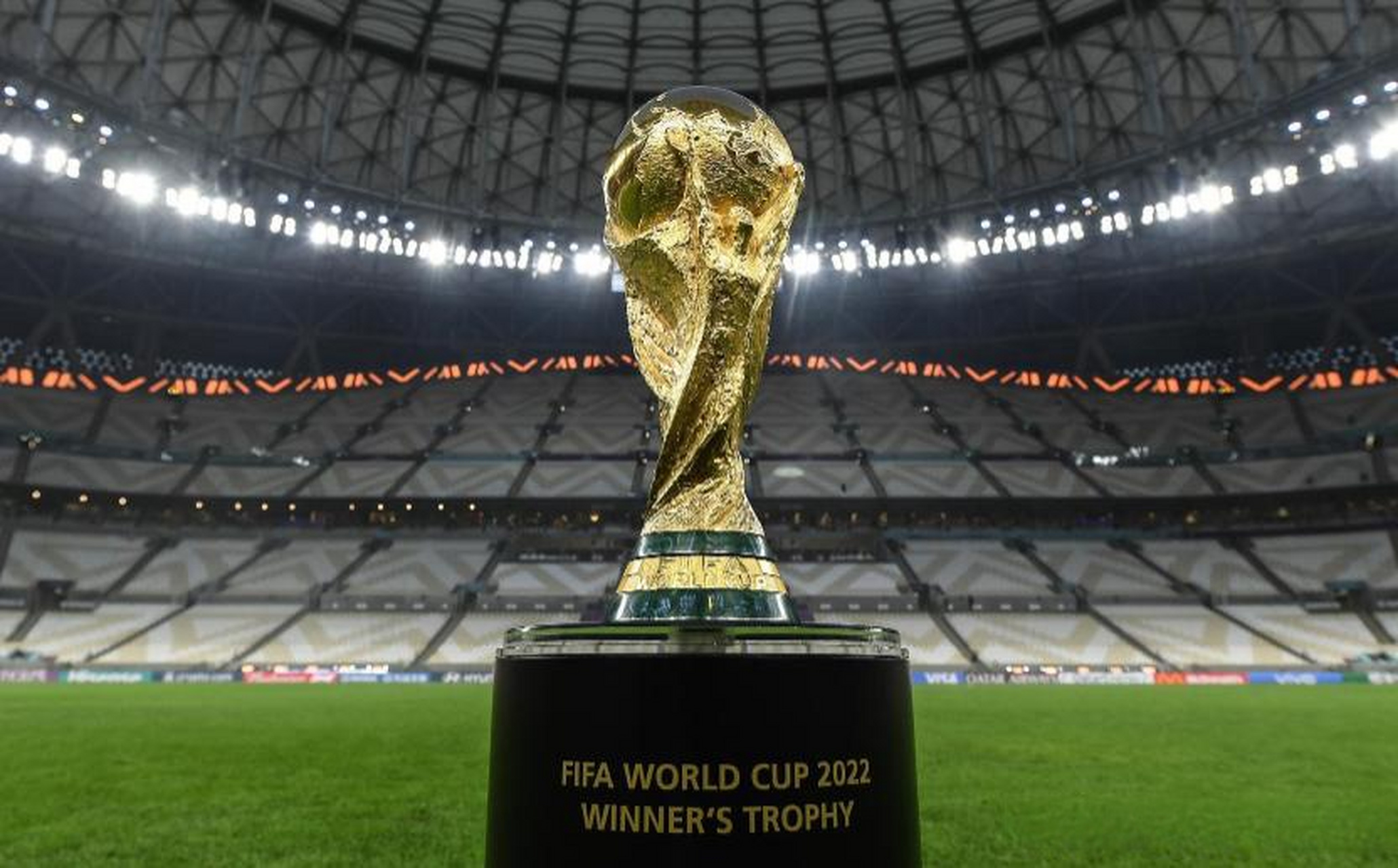 越南版的王 越南版的王